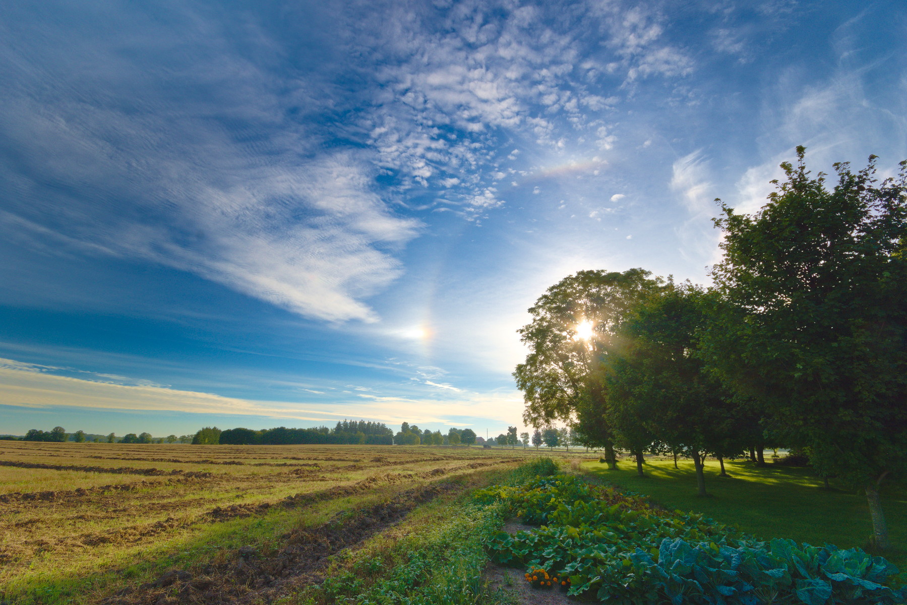 Sun Halo